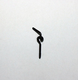 DG1